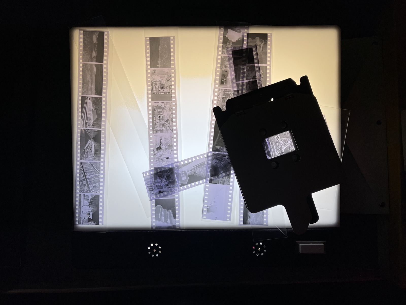 Negatives on a lightbox