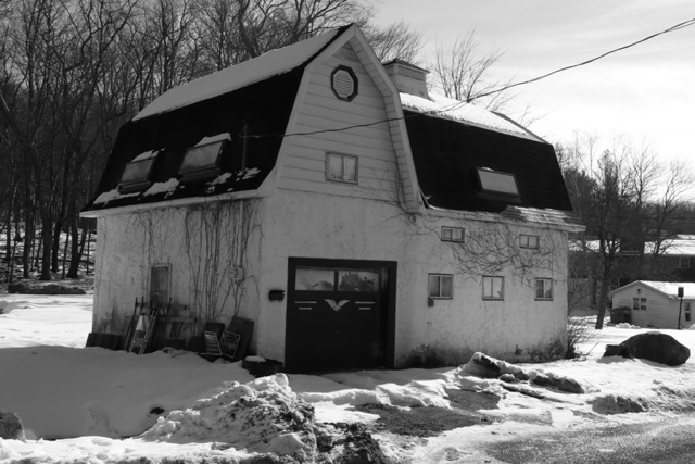 Where I helped with chickens