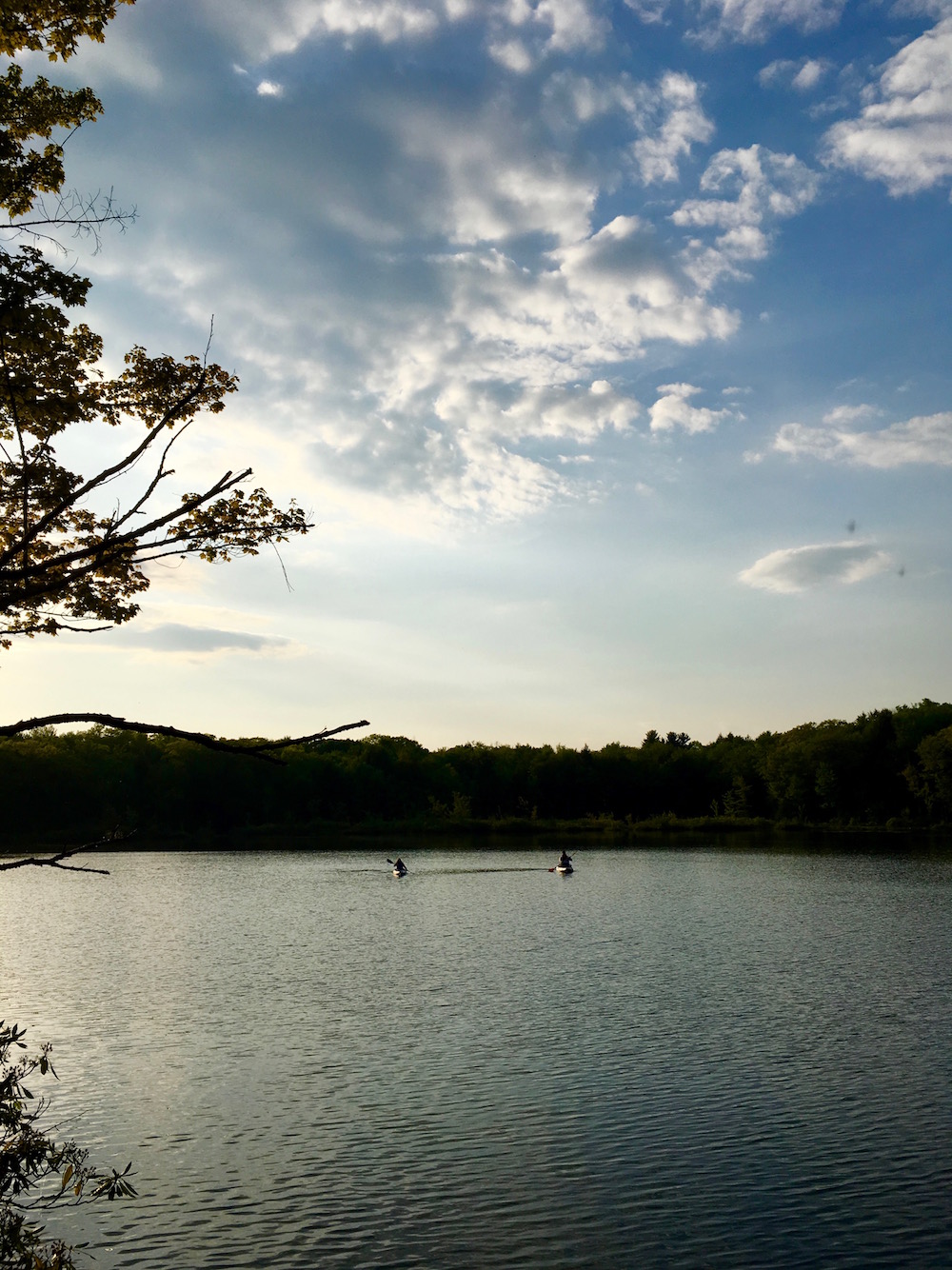 Merli-Sarnoski Count Park Kayakers