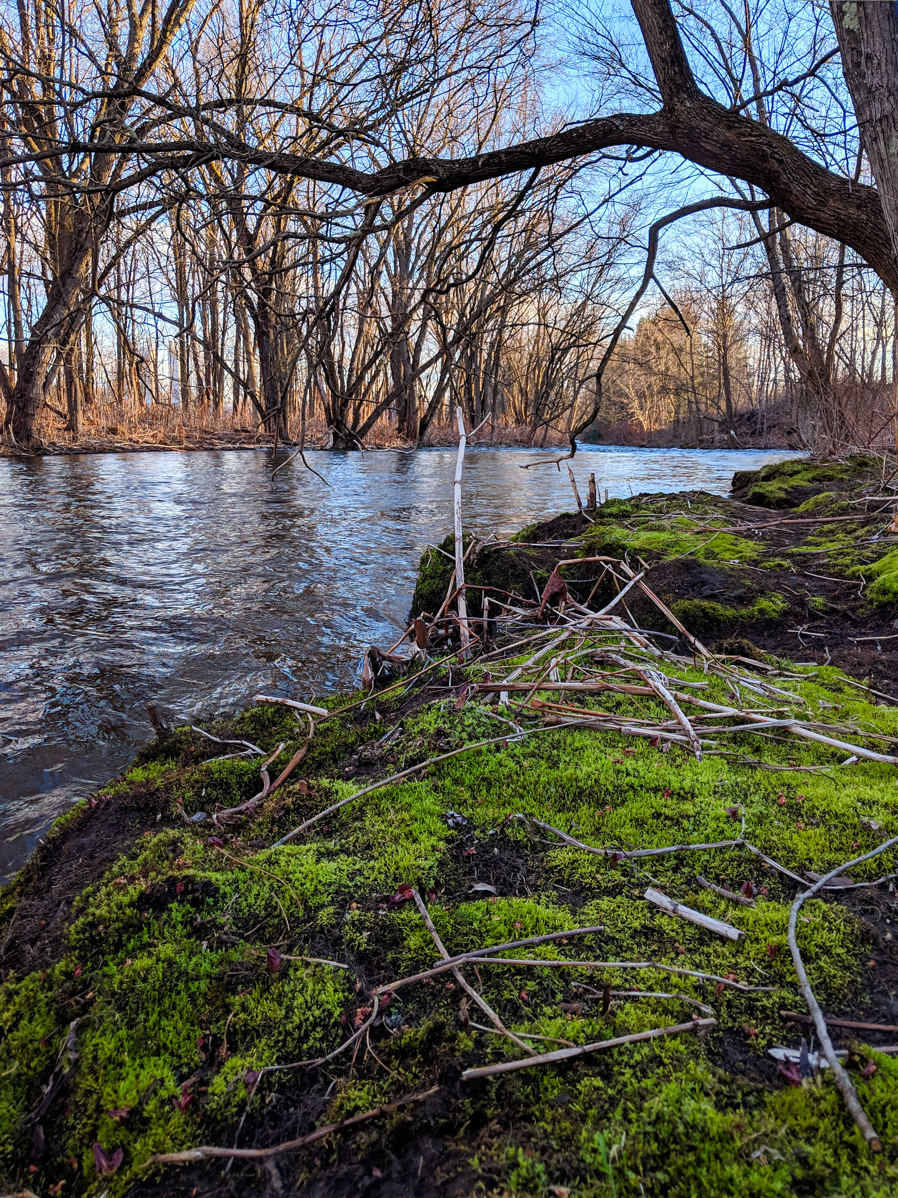 Lackawanna River at sunset. 