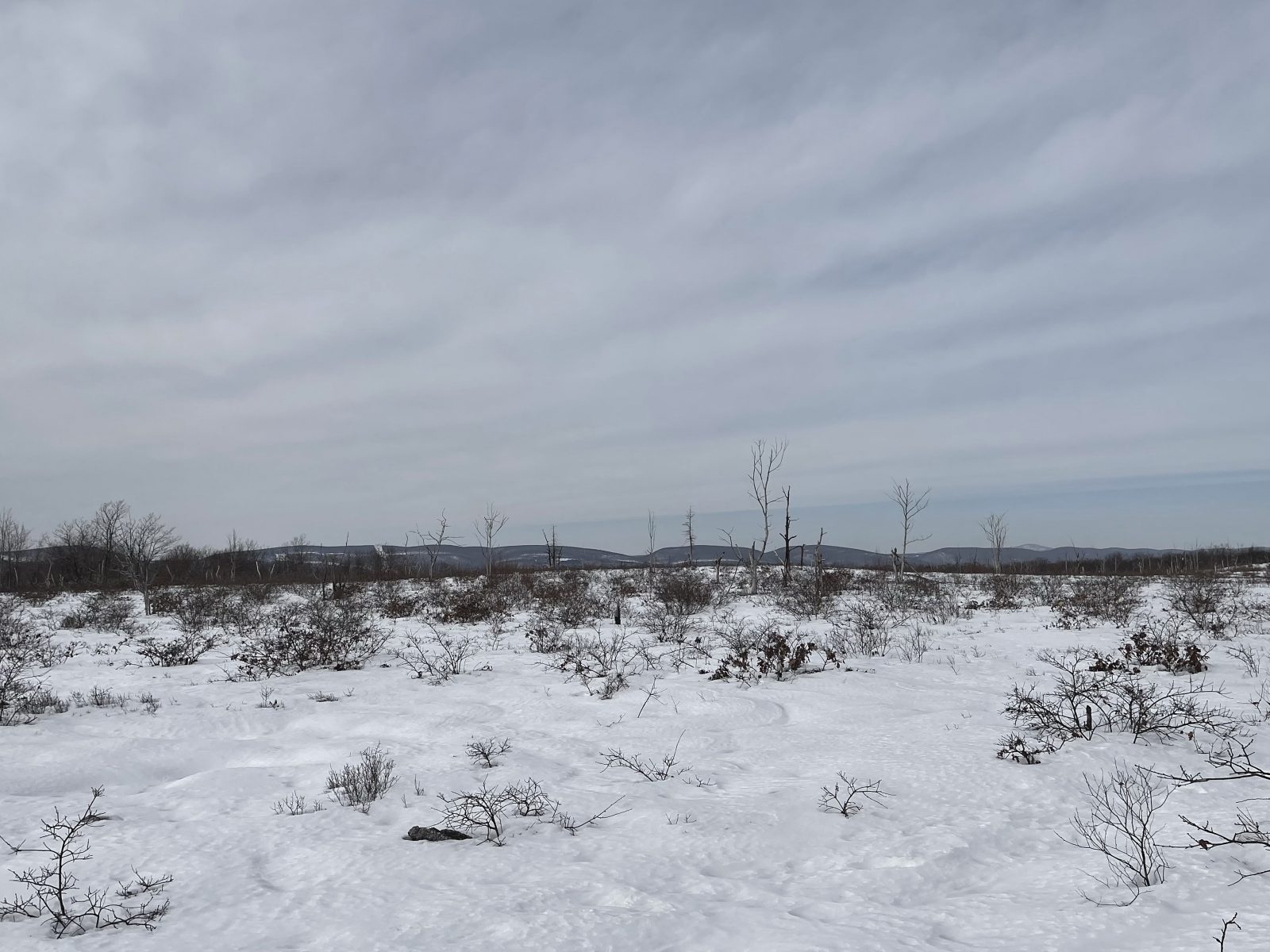A bleak snowy landscape under a cloudy sky.