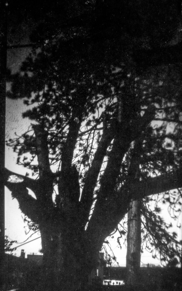 Paper Negatives in quarantine, April 2020