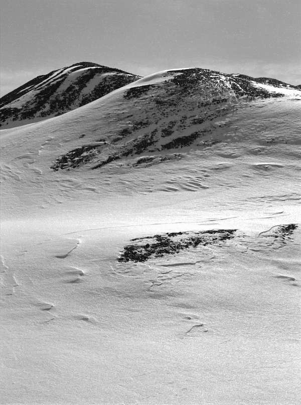 Culm Dunes on film, February 2021