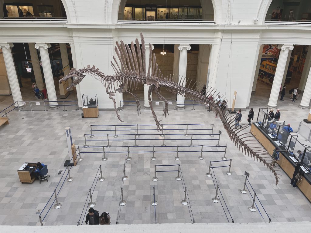 Another view of atrium