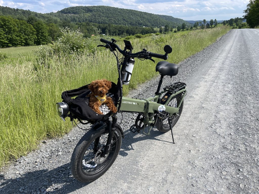 Kona, a toy poodle puppy, sits patiently on the front of an XP4 e-bike that is sitting on its kickstand overlooking some farmland hills in Upstate New York.